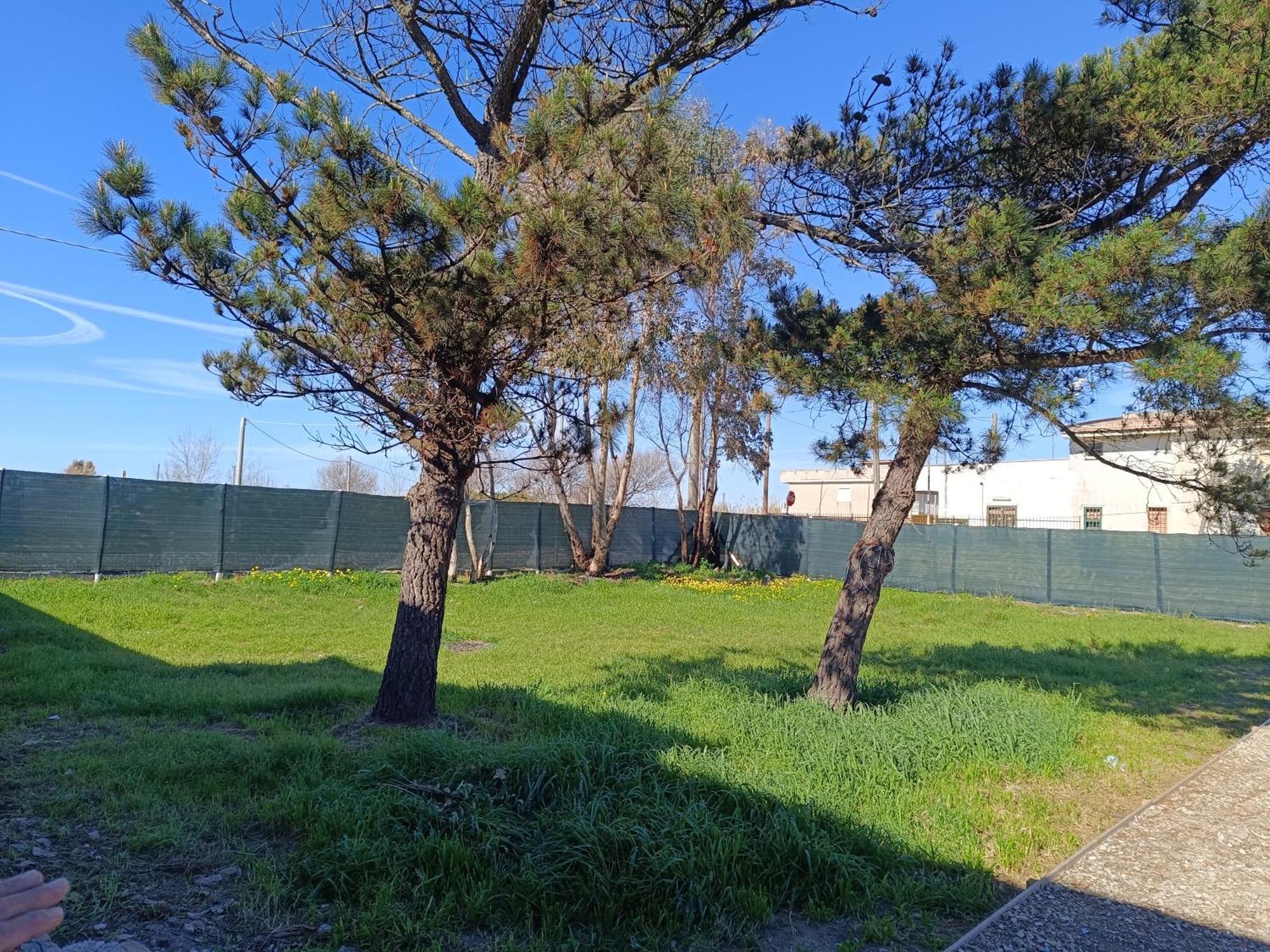 Residence La Duna 卡斯特沃托诺 外观 照片